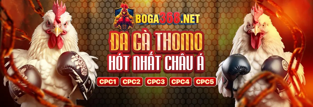 Giao diện cá cược trực tiếp hi88vip1 app